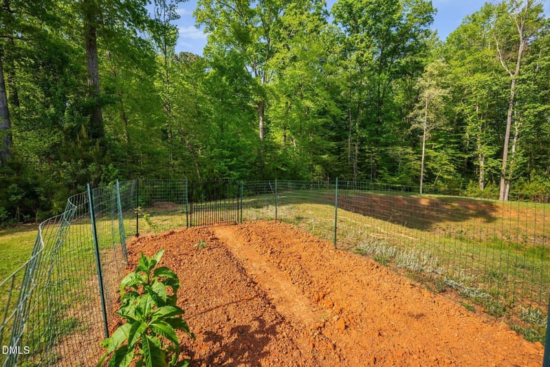Fenced garden plot with tilled red soil, young plants, green wire fence and black gate, surrounded by dense forest under blue sky.